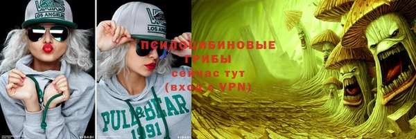 mdpv Коряжма